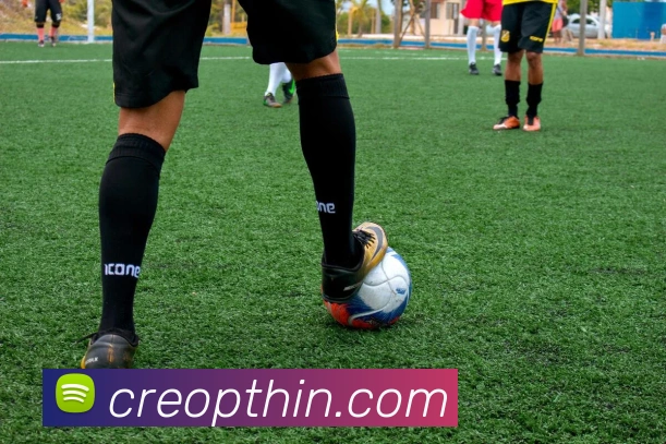 App 展示图